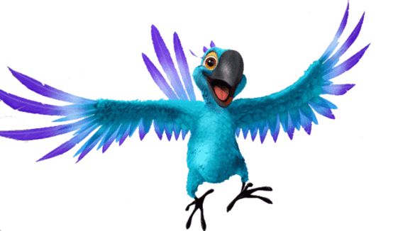 Blue parrot flying
